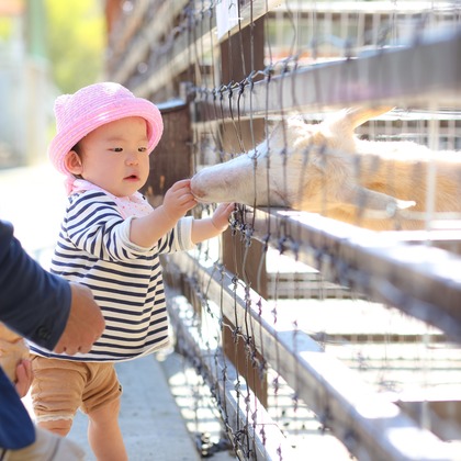 今西健二が撮影した結婚式撮影の写真