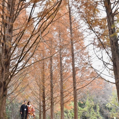 キキフォトワークスが撮影した「:albumName」の写真