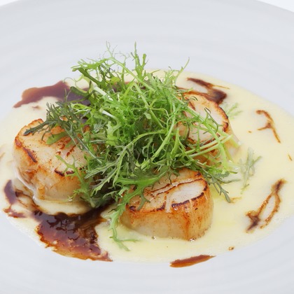 森安　照が撮影したウェディングや家族、ビジネスの写真