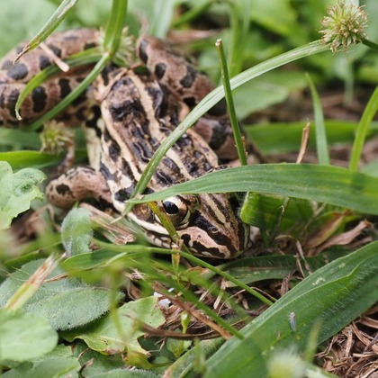 堀勝志古写真事務所が撮影したウェディングや家族、ビジネスの写真