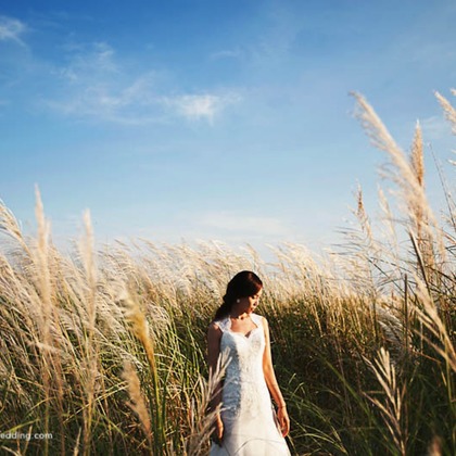 Trust photoが撮影したウェディングや家族、ビジネスの写真