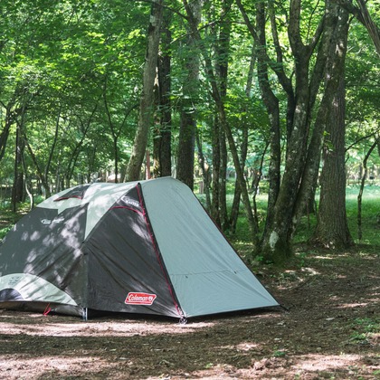 Aya Petite Photographyが撮影した「:albumName」の写真