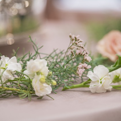 スタジオ11が撮影した「その他」のウェディングフォト - :albumName