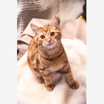 本郷直人が撮影した「:albumName」の写真