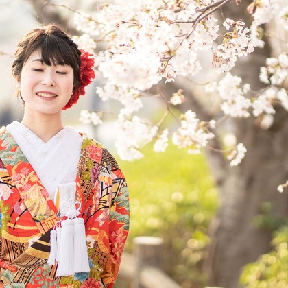 Photo of Kyoto　Prewedding photo with cherryblossom taken by saruco(Hisashi Iwasaki)