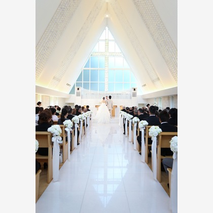 Photo of :albumName taken by SATOMI NAKAGAWA