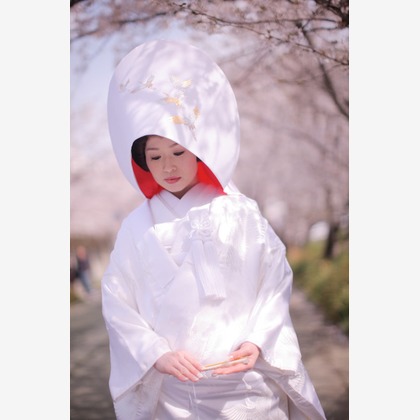 阿部写真館　大阪本町 靭公園前が撮影した「:albumName」の写真