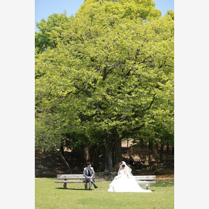 Kaoru Photographyが撮影した「:albumName」の写真