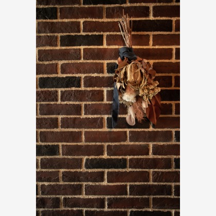 MONKEY PHOTOが撮影した「:albumName」の写真