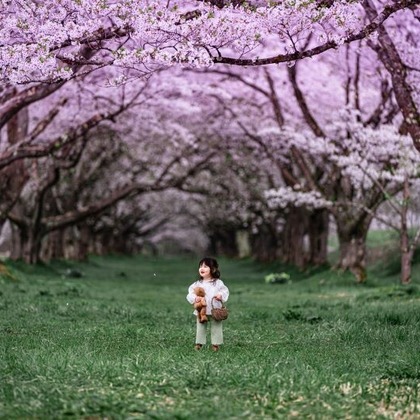 佐藤　克利が撮影した「:albumName」の写真