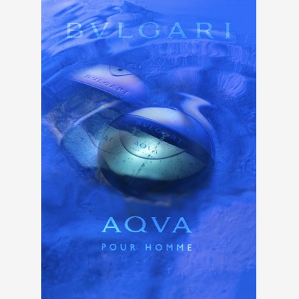 ディス・ワンが撮影した「:albumName」の写真