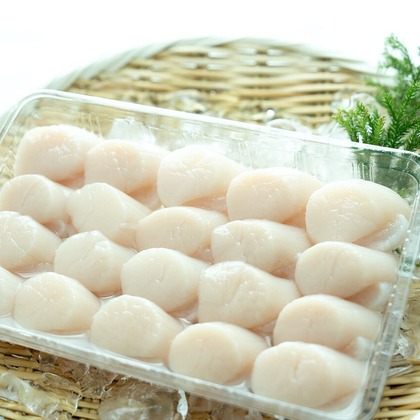 Photography_KanaUが撮影したウェディングや家族、ビジネスの写真