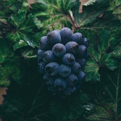 高田鴻平が撮影した「:albumName」の写真