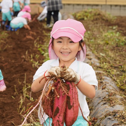 スタジオ　まるが撮影した「:albumName」の写真
