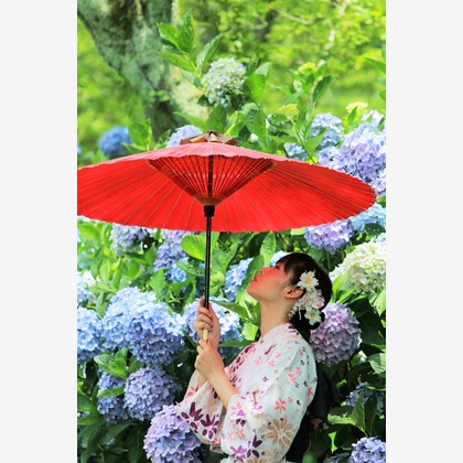 お祝い写し屋が撮影した「:albumName」の写真