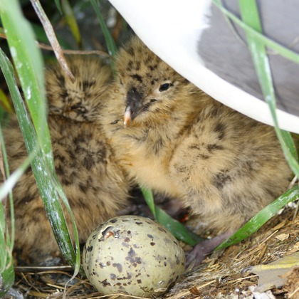 TATEZOUが撮影した「:albumName」の写真