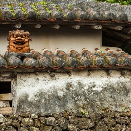 有光こうじ写真事務所が撮影した「:albumName」の写真