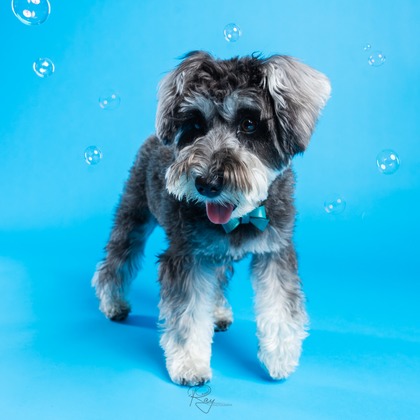 Ray Yamaguchiが撮影した「:albumName」の写真