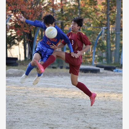 えむあんりみてっどが撮影した「:albumName」の写真