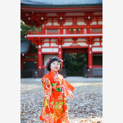 KOMOREBI Photo.　大如　耕平が撮影した七五三フォトの写真