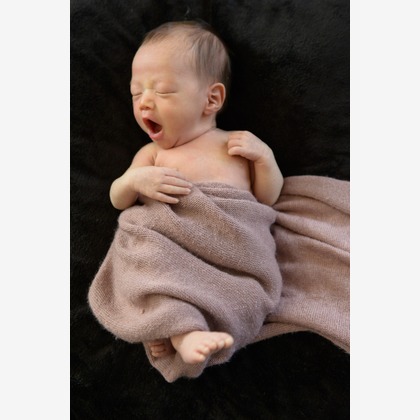 アラタンホヤガが撮影した「:albumName」の写真