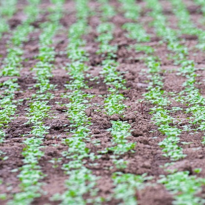 出張撮影TLaboが撮影した店舗/オフィス/サロン撮影/商品/物撮りの写真