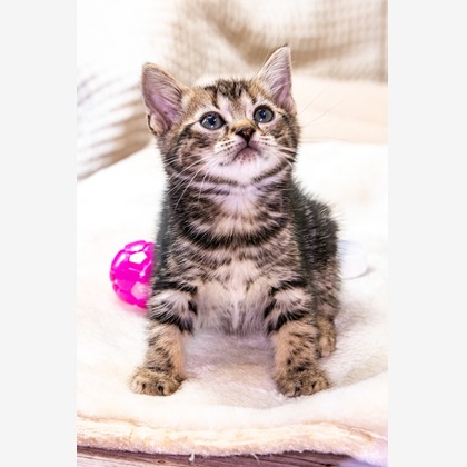 本郷直人が撮影した「:albumName」の写真