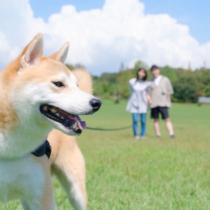 Photo of couple photo shoot taken by 高夏写真店