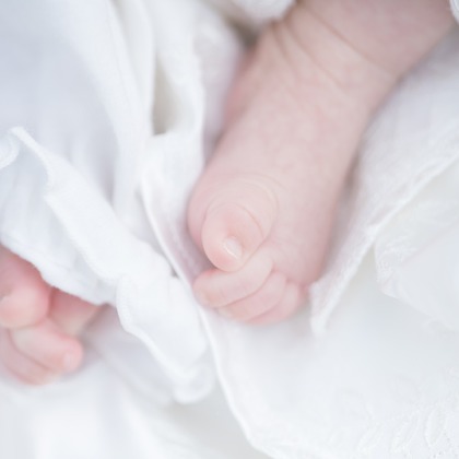 山口　竜が撮影した「:albumName」の写真