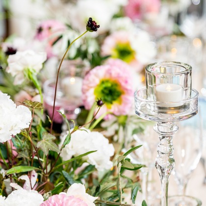 スタジオファンタスが撮影した「:albumName」の写真