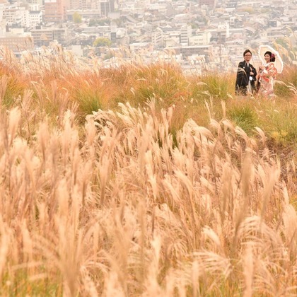 キキフォトワークスが撮影した「:albumName」の写真