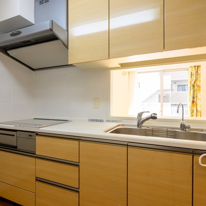 Photo Mが撮影した「:albumName」の写真