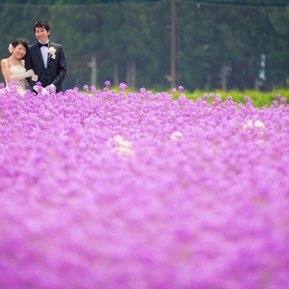 studio HATOYAが撮影した「:albumName」の写真