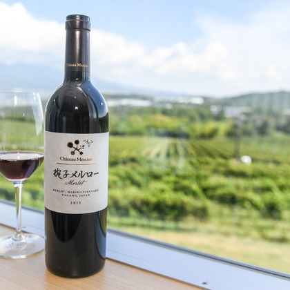 石津祐介が撮影した「:albumName」の写真