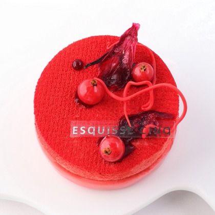 森安　照が撮影した「:albumName」の写真