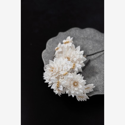 HIBI綴じ写真が撮影した「:albumName」の写真