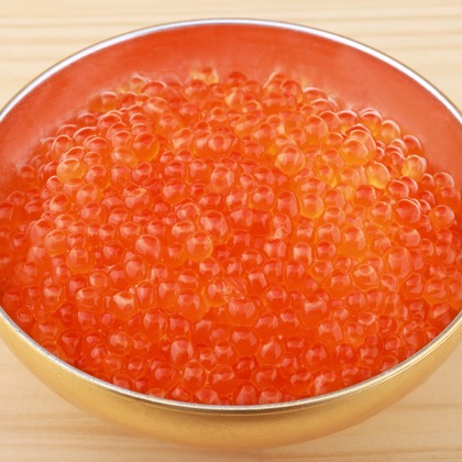 森安　照が撮影した「:albumName」の写真