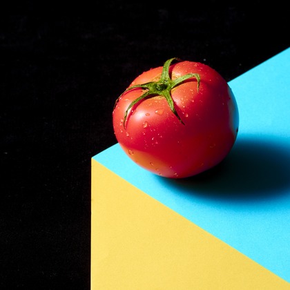 田中真光写真事務所が撮影した「:albumName」の写真