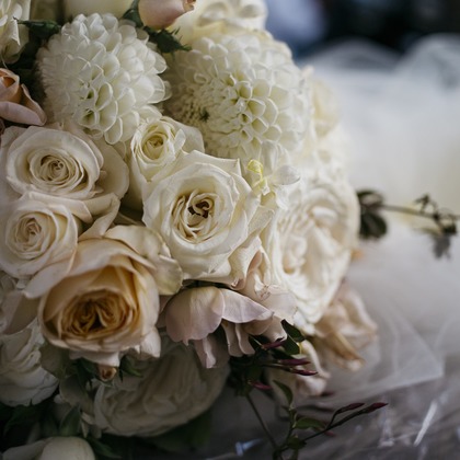 植村由理が撮影したウェディングや家族、ビジネスの写真