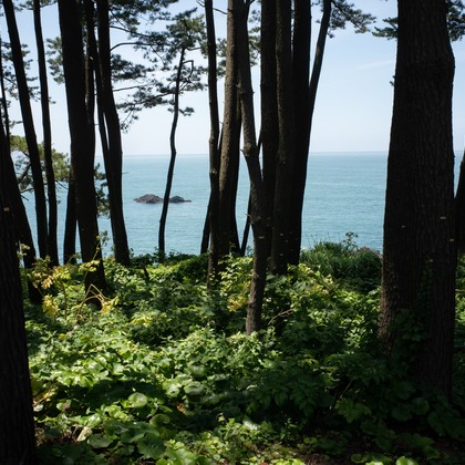 眞田 厚司が撮影したウェディングや家族、ビジネスの写真