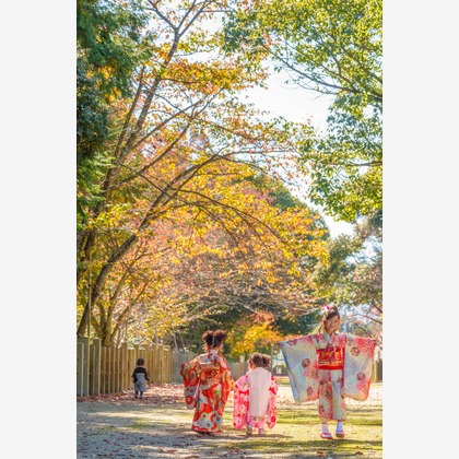 山田由佳が撮影した「:albumName」の写真