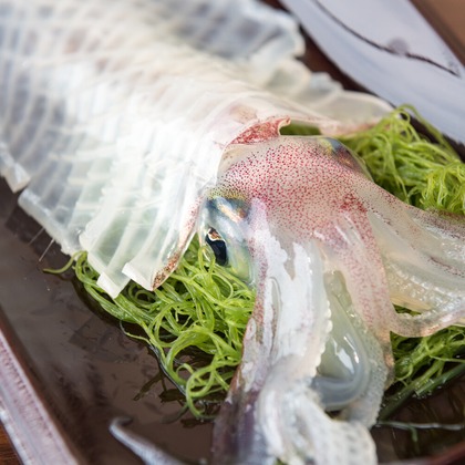 石津祐介が撮影した「:albumName」の写真