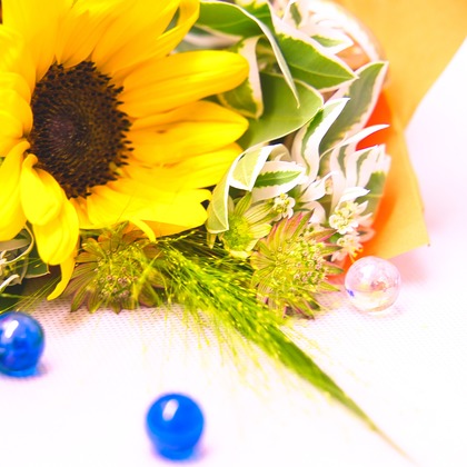 SmileMemoriesPhotoStudioが撮影した「:albumName」の写真