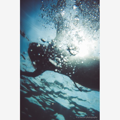 U-CONCENT (香川裕貴)が撮影したウェディングや家族、ビジネスの写真