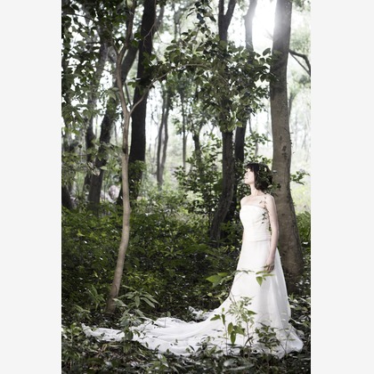 Wedding, Bridal Photos taken by abc pictures
