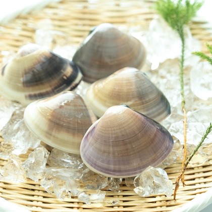 Photography_KanaUが撮影したウェディングや家族、ビジネスの写真