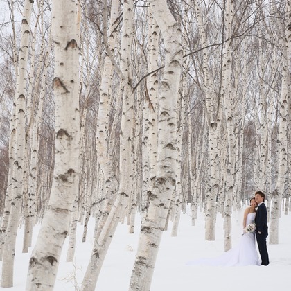 Sincere（サンシェール）が撮影した「北海道／絶景フォトウエディング in 札幌」の写真
