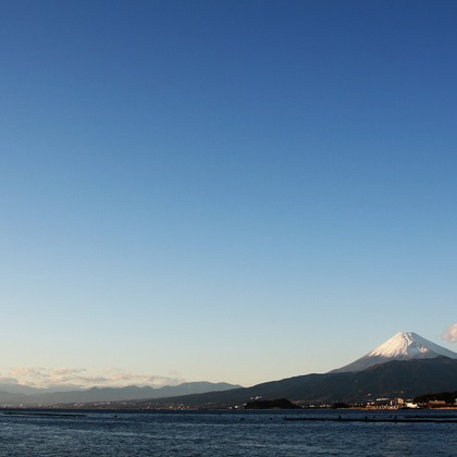 出張撮影のメモリーズが撮影した「nature-アラカルト」の写真