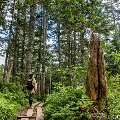 道海史佳が撮影したイベント/スナップ撮影の写真