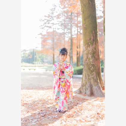 尾崎光が撮影した七五三フォトの写真